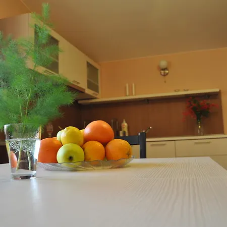 Apartmán Rado Sapareva Banja